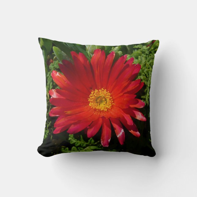 Red Ice Flower Colourful Carpet Plant Cushion (Front)