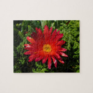 Red Ice Flower Colourful Carpet Plant Jigsaw Puzzle