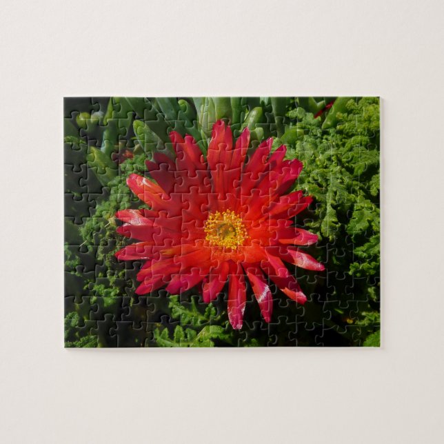Red Ice Flower Colourful Carpet Plant Jigsaw Puzzle (Horizontal)