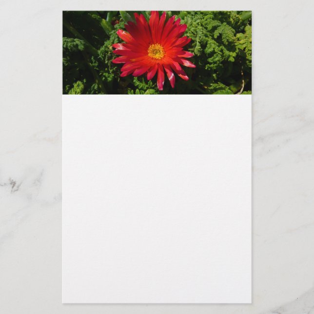 Red Ice Flower Colourful Carpet Plant Stationery (Front)