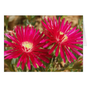 Red Ice Plant Postcard