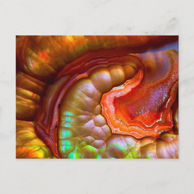 Red iridescent Fire Opal Postcard (Front)