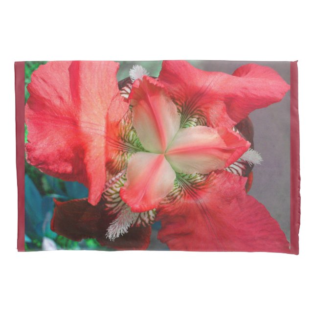 Red Iris Flower Pillow Case (Front)