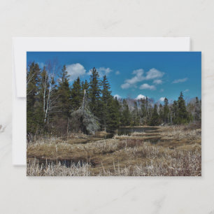 Red Island Pond