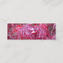 Red Japanese Maple Leaves Bookmark Business Card