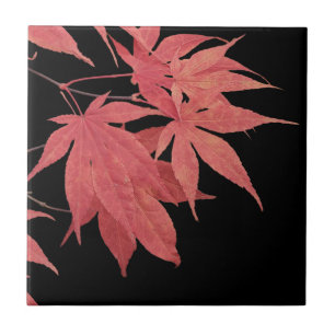Red Japanese Maple Leaves on Black Ceramic Tile