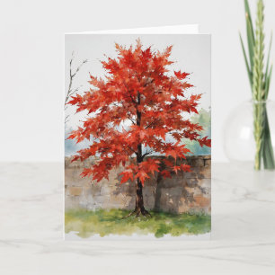 Red Japanese Maple Study A Card