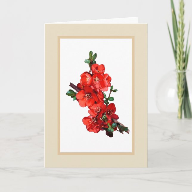 Red Japanese Quince Blossom illustration beige Card (Front)