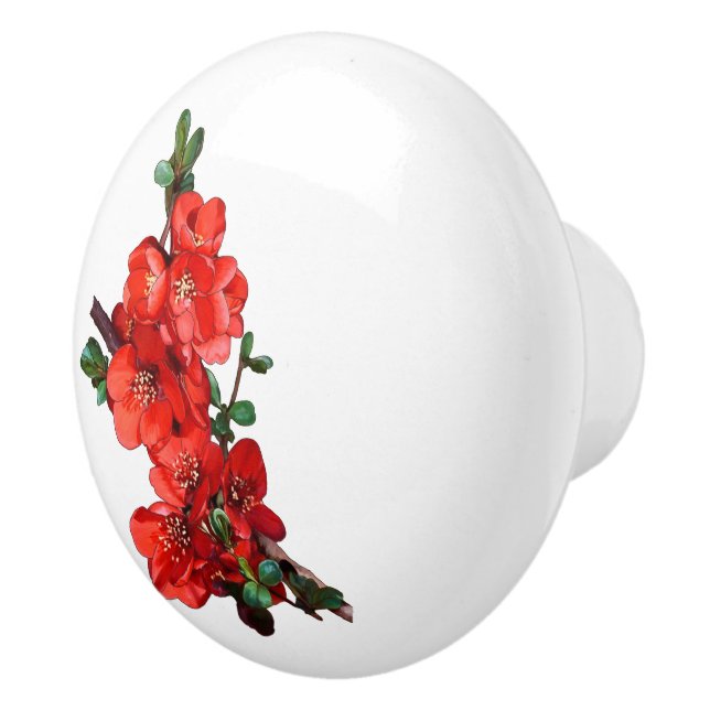Red Japanese Quince Blossom white Ceramic Knob (Right)