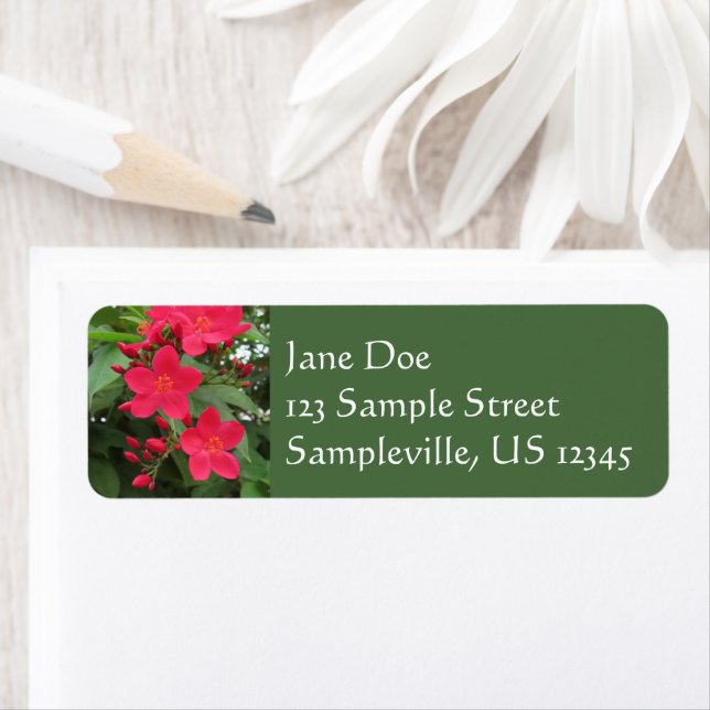 Red Jatropha Flowers Return Address Label (Insitu)