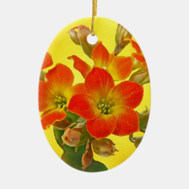 Red Kalanchoe - Succulent Sunshine Ceramic Tree Decoration (Front)