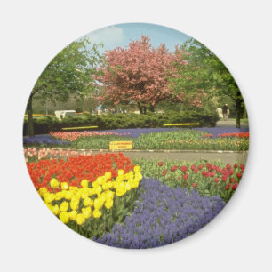 Red Keukenhof Gardens near Haarlem, Netherlands fl Magnet