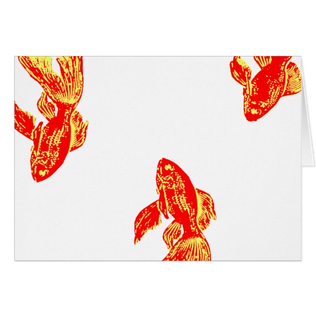 red kingyo (Front Horizontal)