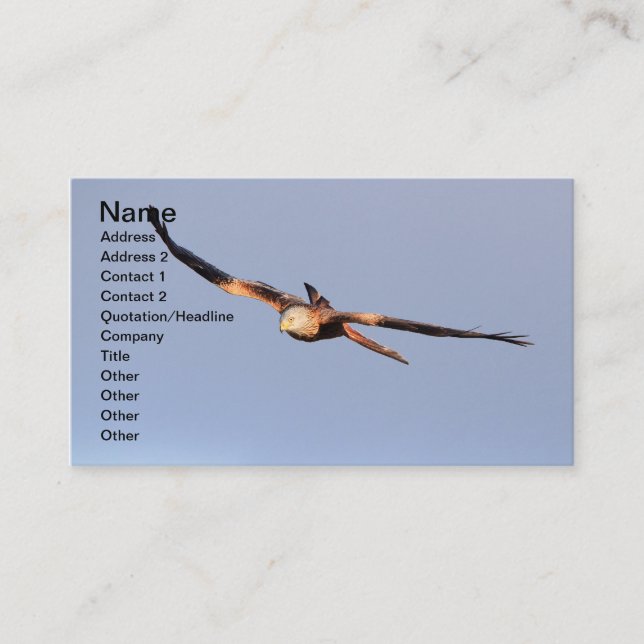 Red Kite Business Card (Front)