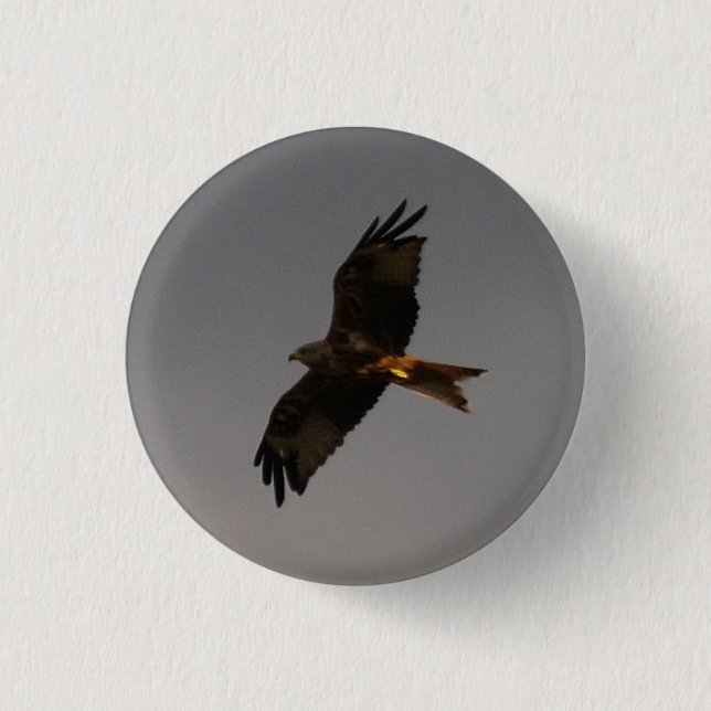 Red Kite Button (Front)