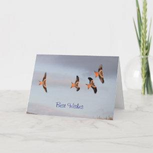 Red Kite Card