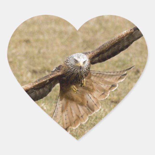 Red Kite (Milvus Milvus) Heart Sticker (Front)