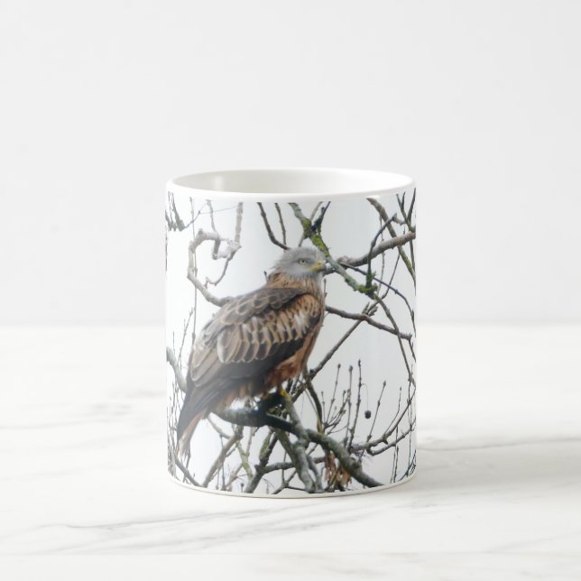 Red Kite Mug (Center)