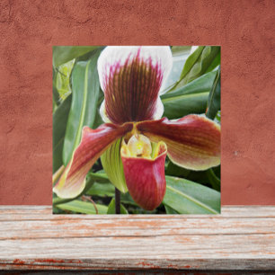 Red Lady Slipper Orchid Floral Ceramic Tile