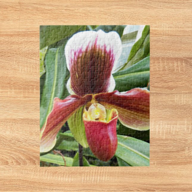 Red Lady Slipper Orchid Floral Jigsaw Puzzle (In Situ)