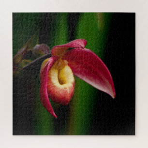 Red Lady Slippers Orchid Jigsaw Puzzle