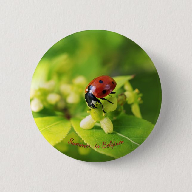 Red Ladybug summer 6 Cm Round Badge (Front)