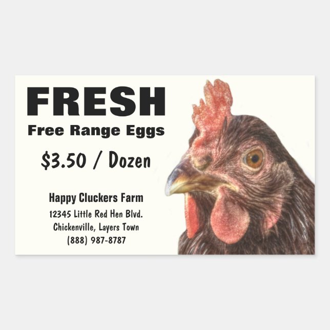 Red Laying Hen Chicken Photo Rectangular Sticker (Front)
