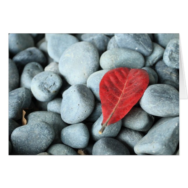 Red leaf and stones (Front Horizontal)