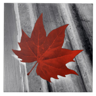 red leaf ceramic tile