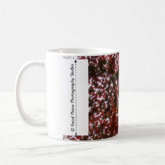 Red Leaf Maple Leaves Coffee Mug