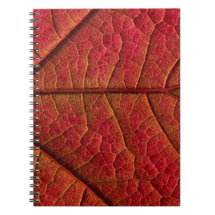 Red leaf notebook