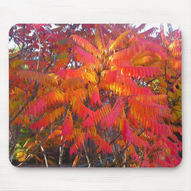 Red Leaf Tree Mousepad (Front)