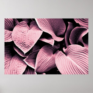 RED LEAFED PLANT POSTER