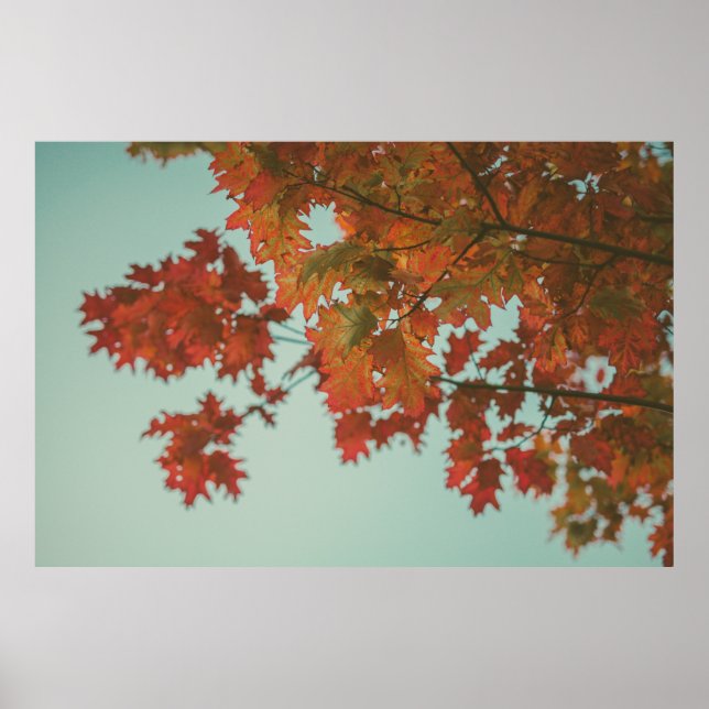 RED-LEAFED TREE POSTER (Front)