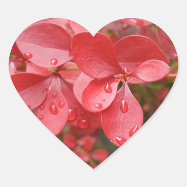 Red Leafs Heart Sticker (Front)