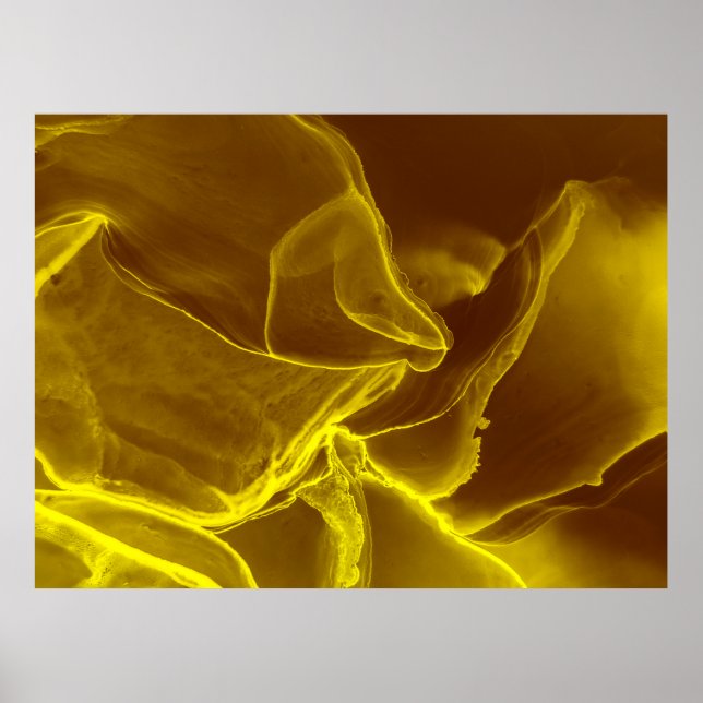 Red leather, texture poster (Front)