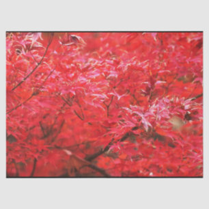 Red leaves all around tissue paper