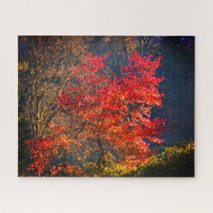 Red leaves jigsaw puzzle