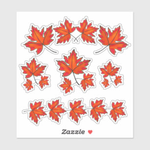 Red leaves, Maple leaves, Autumn colours