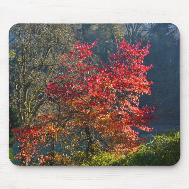 Red leaves mouse pad (Front)