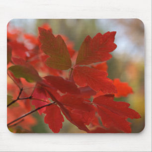 Red Leaves Mousepad