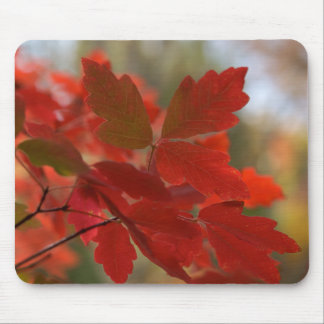 Red Leaves Mousepad
