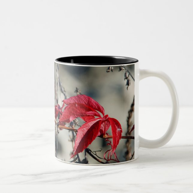 Red leaves Mug (Right)