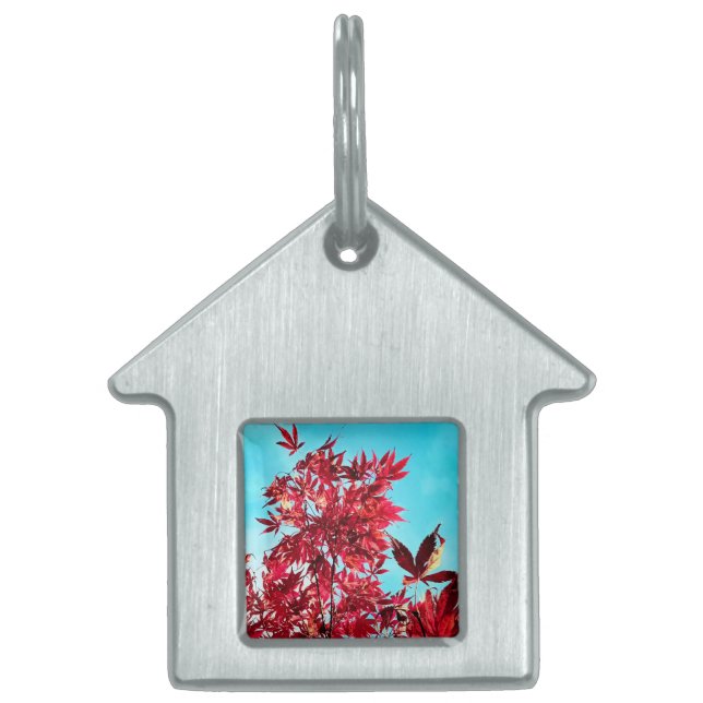 Red leaves pet ID tag (Front)