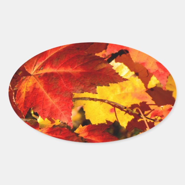 Red leaves yellow leaves golden autumn leaves  oval sticker (Front)