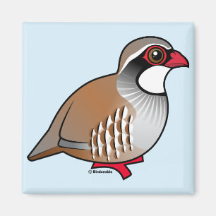 Red-legged Partridge Magnet