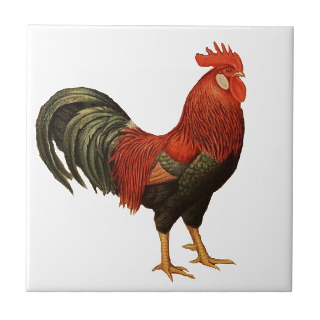 Red Leghorn Rooster Tile (Front)