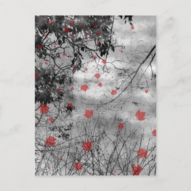 Red Letter Day Wedding Announcement Postcard (Front)