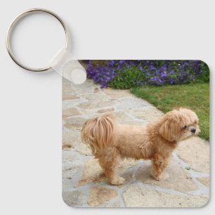 Red Lhasa Apso dog Key Ring