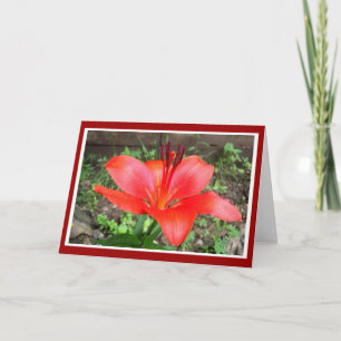 Red Lilie 1 Card